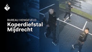 Dieven stelen voor 10.000 euro aan koper in Mijdrecht