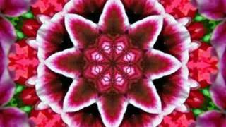 Chicago(here in my heart)