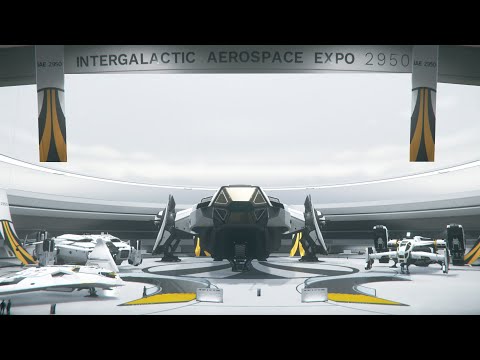 IAE 2950: Final - Best of Show - Star Citizen Alpha 3.11.1 (no comment)