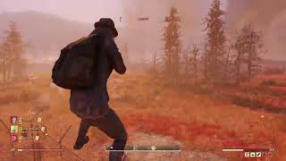 Lv.367 方向音痴が行く！Fallout 76  ～ﾃﾞｲﾘｰ　バンドル欲しいじゃないか！まったり癒し[女性実況]