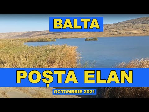 Pescuit baraj POSTA ELAN Vaslui video octombrie 2021