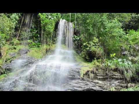 HABIO FALLS in Trinidad