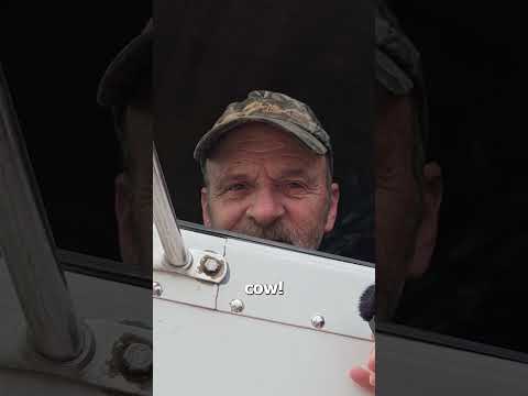 WOW! How many miles???