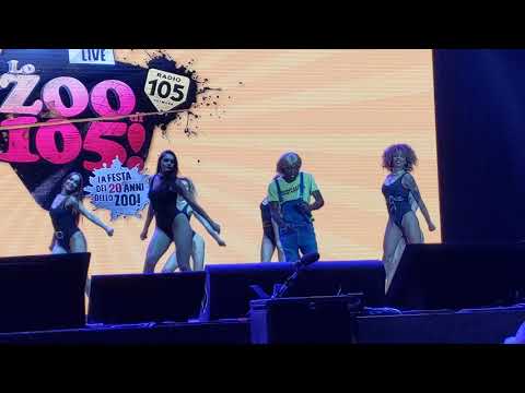 #zoo20 Nino nero live jingle