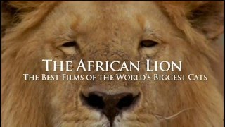 The African Lion Trailer