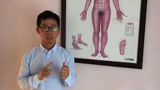 3-minute Chinese Medicine study---Meridian 27/03/2018
