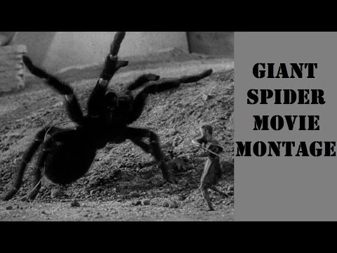 GIANT SPIDER Movie Montage
