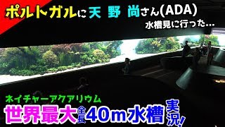 【世界最大ADA水槽】午前中から水槽に目を奪われた…現地の人や子供達で大混雑だった(^O^)／