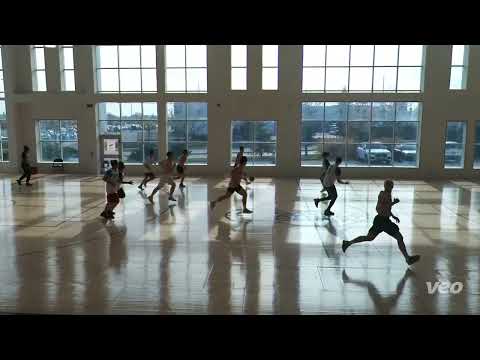 bumble bees vs hammer - sunday tier - tcbl 2022 fall