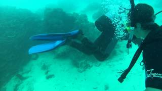 preview picture of video 'SCUBA Diving Paje Zanzibar - GoPro Dive Housing'