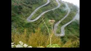 JD Souther - Go Ahead and Rain on Me (Lyrics)