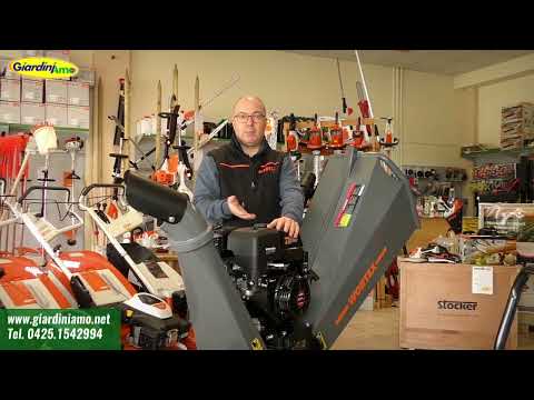 Consigli per il tuo giardino Biotrituratore cippatore Wortex Chipper D420