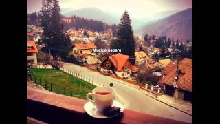 Sarah Mclachlan - Dirty Little Secret (Thievery Corporation)