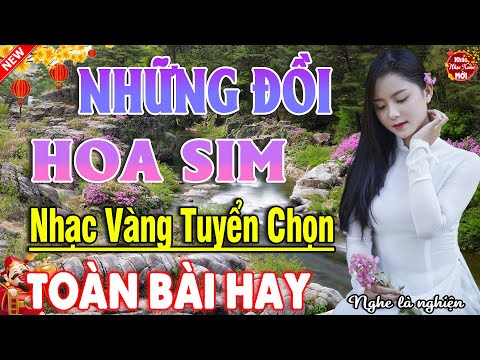 NHỮNG ĐỒI HOA SIM, NGOẠI Ô BUỒN ➤LK Ca Nhạc Xưa Mới Ra Lò Ngọt Ngào TOÀN BÀI HAY NGHE LÀ SAY MÊ 2025