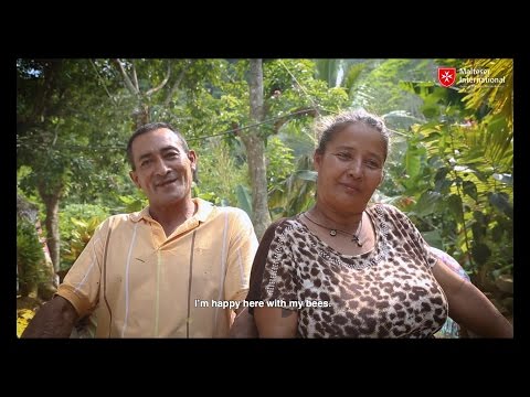 Reviving Haiti & Colombia's Mangroves