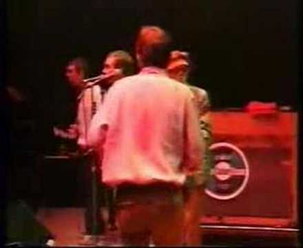 DAYTRIPPER video thumbnail