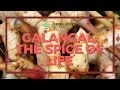 Galangal Root, the Spice of Life Galangal Root, the Spice of Life
