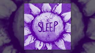 Cover art for Sleep