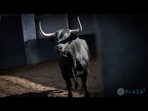 SORTEO | La Ventana del Puerto, corrida toros 25 mayo