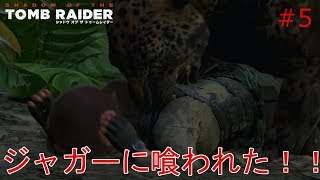 【シャドウオブザトゥームレイダー】実況 再びのジャガー！ララが喰われた！？