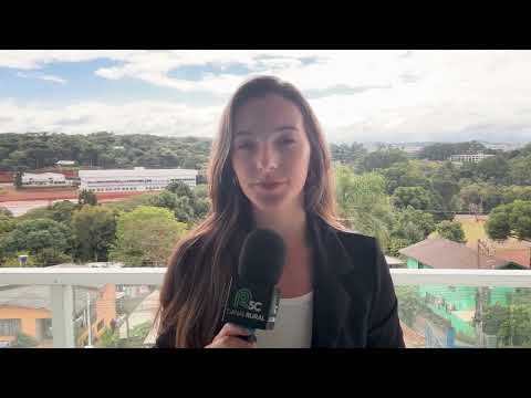 Região de Santa Catarina concentra 70% do abate de suínos do estado