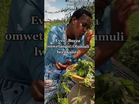 Evvu, Buzza, Omwetango, Olumuli lwenkalira @nalongonansamba 0753534557_0782534557