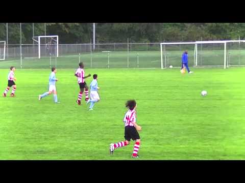 Samenvatting Hermes DVS D1 -  De Betrokken Spartaan D1