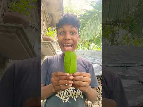 Eat spicy candy in the forest #survival #bushcraf#shots #2951