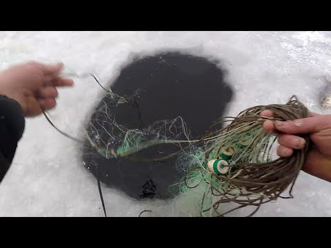 Как Поставить Рыболовные Сети под лёд, чтоб Не Украли! Проверка Сети!