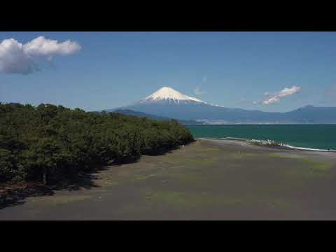 三保松原 富士雪衣 みほしるべ