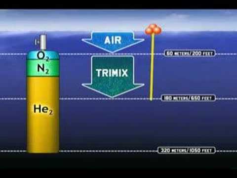 Re: World Record Dive 318,25 m