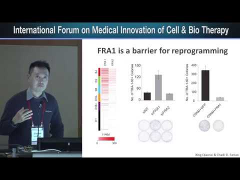 2017 미래의학 국제포럼 - LOH Yuin-Han Jonathan, Ph.D.
