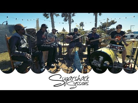 Fear Nuttin Band - Move Positive (Live Acoustic) | Sugarshack Sessions