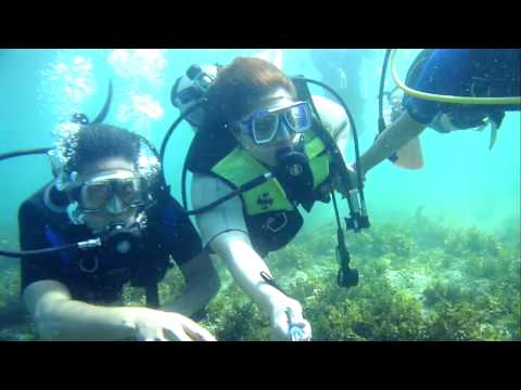 HAPPY BIRTHDAY BERNADINE