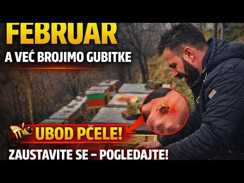 PCELARSTVO: Najteži prizor u februaru! 20kg meda, a pčele MRTVE! 🐝😱
