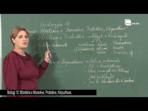 Mbretëria e monerëve, protistët, kërpudhat | Biologji 10