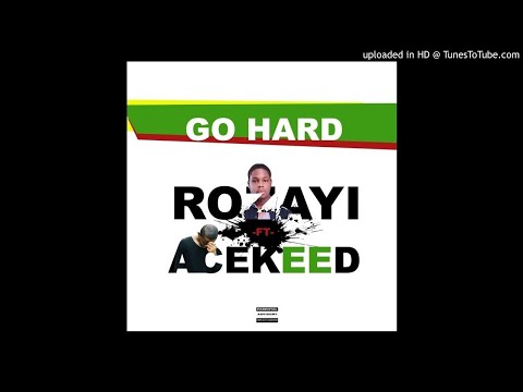 ROZAYI FT ACEKEED - GO HARD