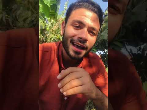 بكرة هتحلو فارس قطرية fares katrya