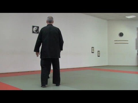 Bujinkan Brussels Ninpo Taijutsu - Ate Nage