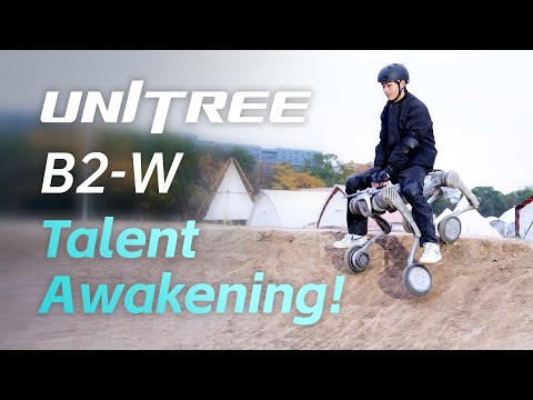 Roboterhunde wollen einfach nur Spaß haben! 🤖🐶