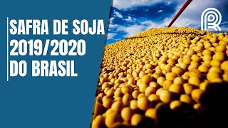 Miniatura do vídeo