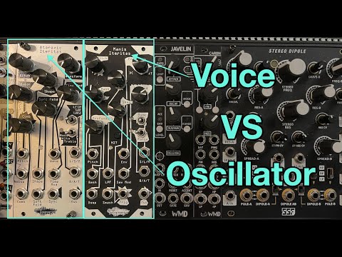 Voice VS Oscillator - Manis VS Ataraxic