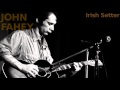 Irish Setter ~ John Fahey