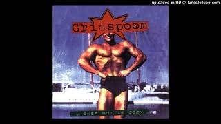 Grinspoon - PigPen