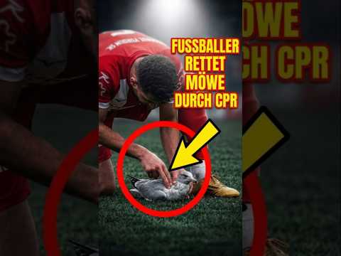 Er rettete ihm mitten auf dem Fußballfeld das Leben 😱