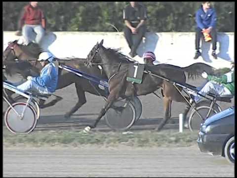 Trotto 20/11/2014 - 1° corsa