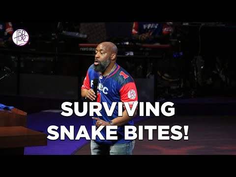 Pastor Tolan Morgan • Surviving Snake Bites!