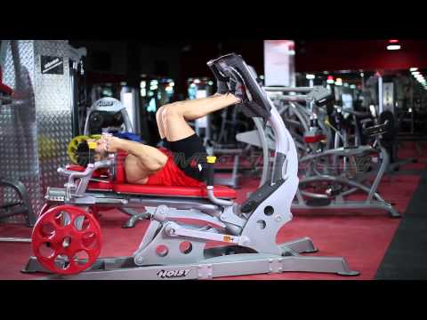 Lying Leg Press plate loaded دفع ارجل نائم  بليت