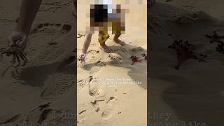 Download lagu Valndhutu pogatume🫶🏻 #tamil #awareness #saveanimals #savethefish #trending #travel #viral #news mp3 Download lagu Valndhutu pogatume🫶🏻 #tamil #awareness #saveanimals #savethefish #trending #travel #viral #news mp3