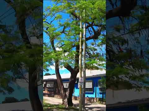 🌅 Barranqueras City Cycle Tour – Chaco, Argentina by Bike